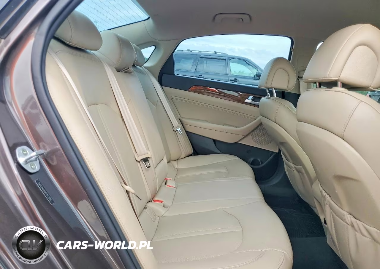 2015 Hyundai Sonata Eco VIN:5NPE24AA9FH152529 - 10