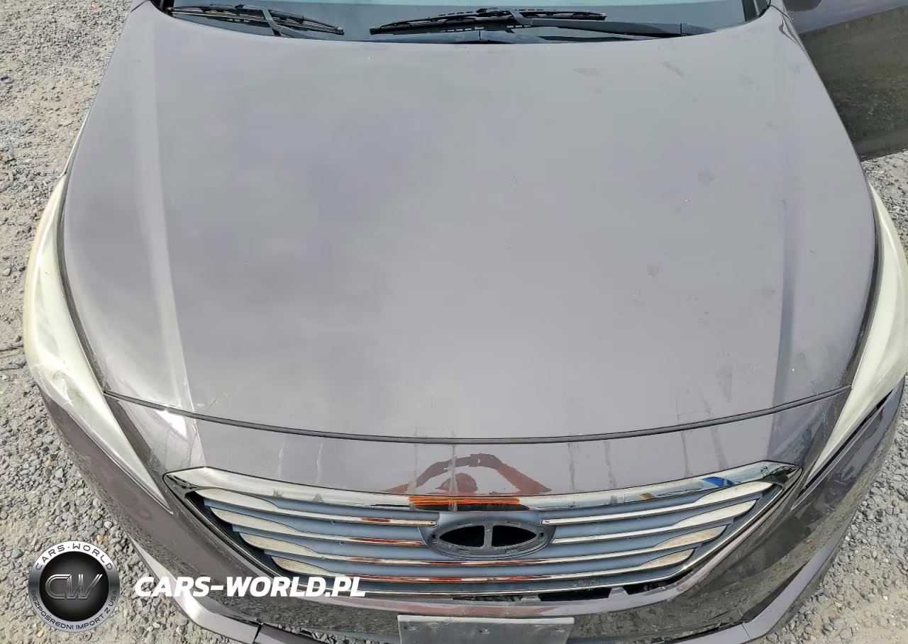 2015 Hyundai Sonata Eco VIN:5NPE24AA9FH152529 - 11