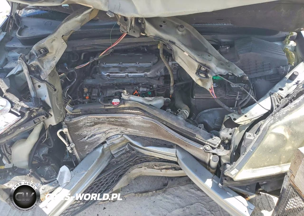 2010 Honda Odyssey Exl VIN:5FNRL3H76AB025442 - 12