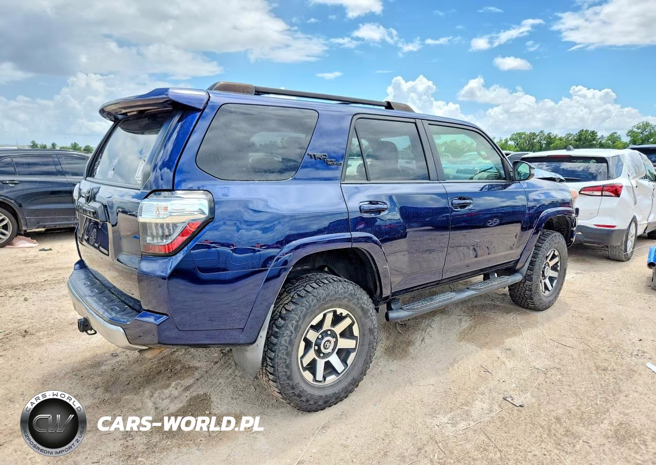 2019 Toyota 4Runner Trd Off Road Premium VIN:JTEBU5JR7K5646290 - 3