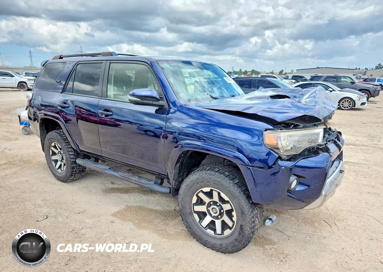2019 Toyota 4Runner Trd Off Road Premium VIN:JTEBU5JR7K5646290 - 4