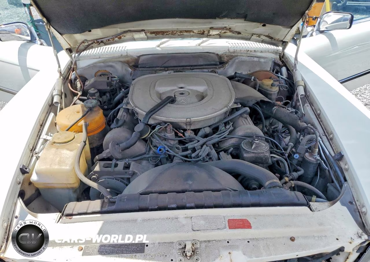 1980 Mercedes-Benz 450 VIN:10704412063190 - 11