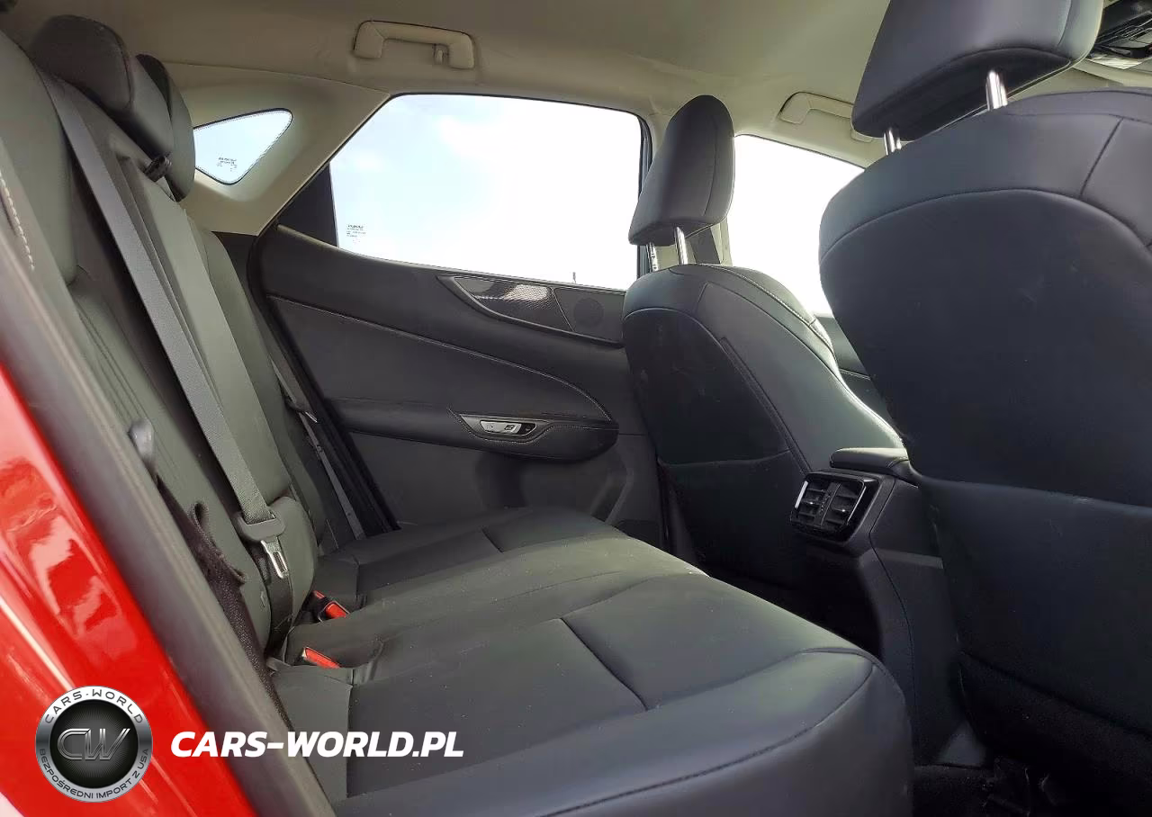 2022 Lexus Nx 250 VIN:2T2ADCEZ5NC001428 - 10