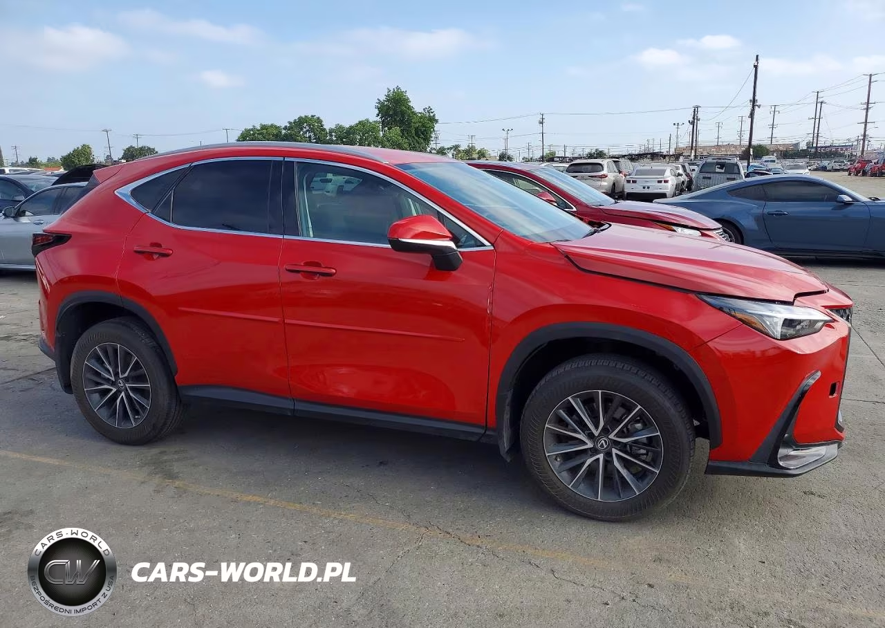 2022 Lexus Nx 250 VIN:2T2ADCEZ5NC001428 - 4
