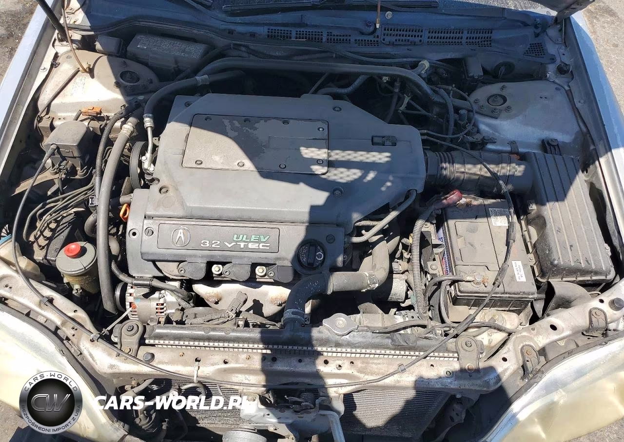 2001 Acura 3.2Tl VIN:19UUA56741A019793 - 11
