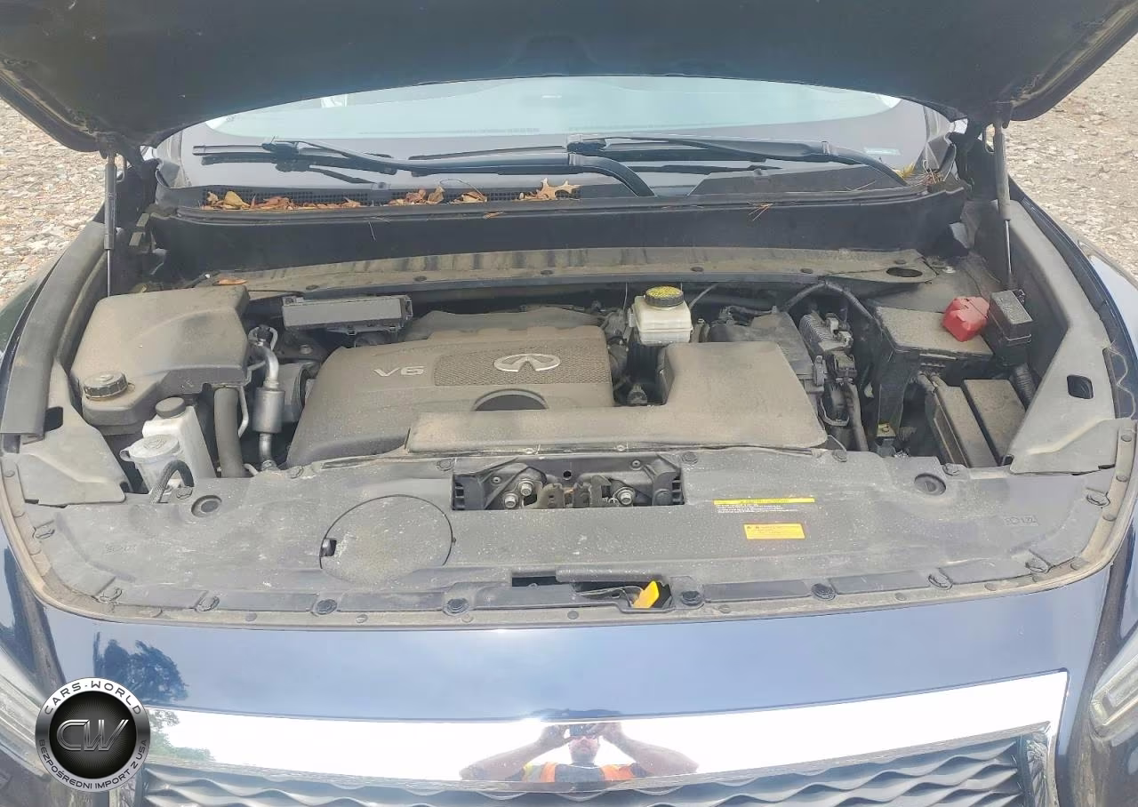 2019 Infiniti Qx60 Luxe VIN:5N1DL0MM8KC528792 - 12