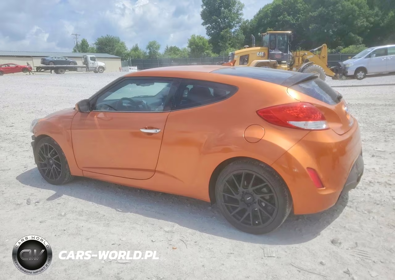 2014 Hyundai Veloster Re:flex VIN:KMHTC6AD3EU213688 - 2