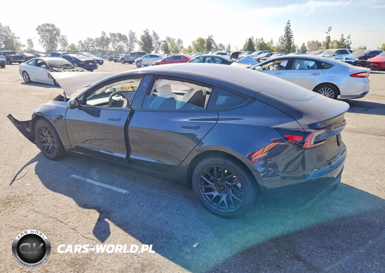 2024 Tesla Model 3 VIN:5YJ3E1EB5RF832382 - 2