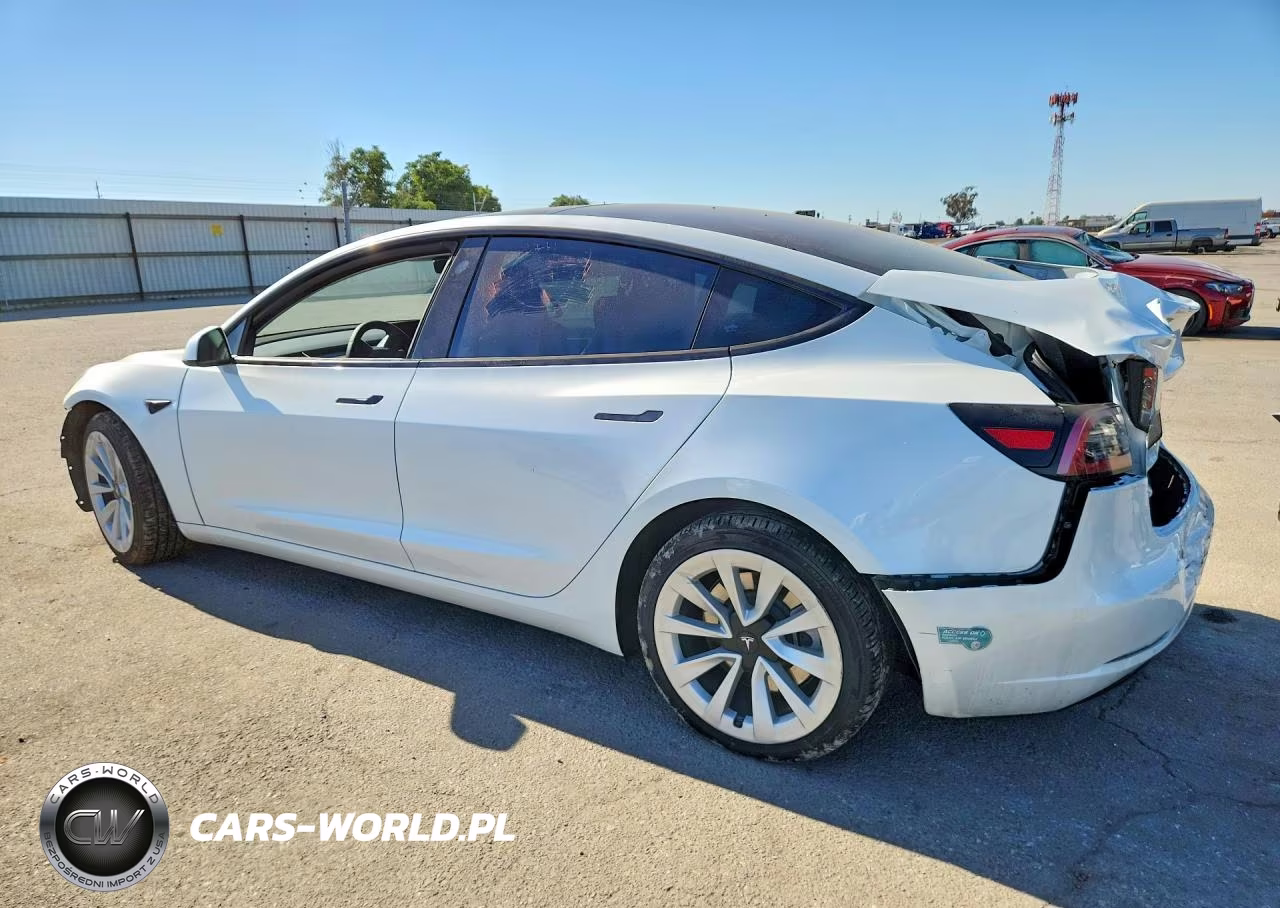 2023 Tesla Model 3 VIN:5YJ3E1EA6PF583983 - 2