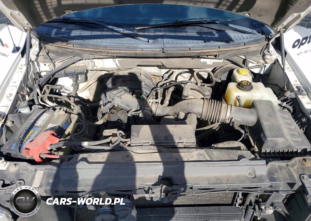 2014 Ford F150 VIN:1FTMF1CM7EKG22885 - 11