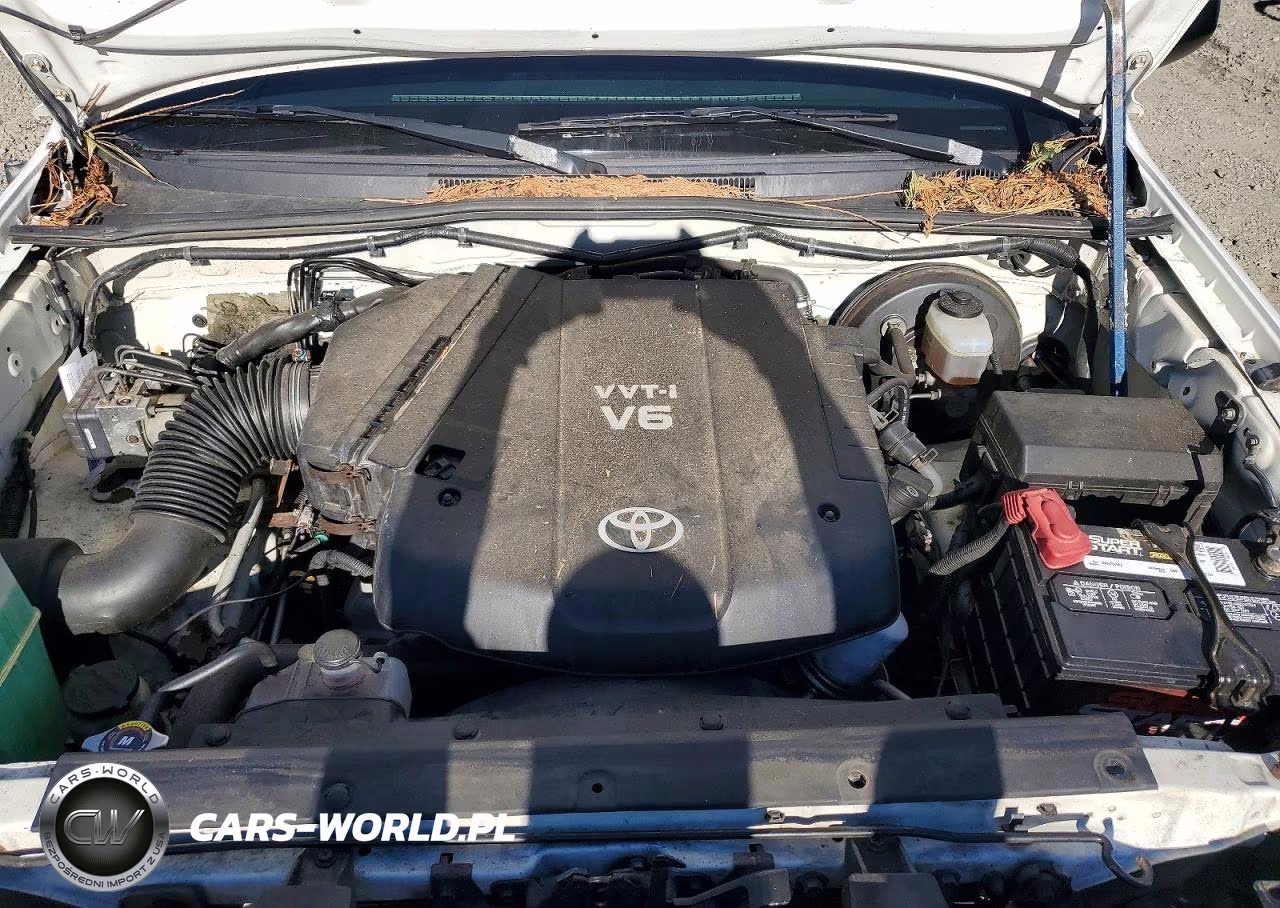 2008 Toyota Tacoma Access Cab VIN:5TEUU42N58Z528005 - 11