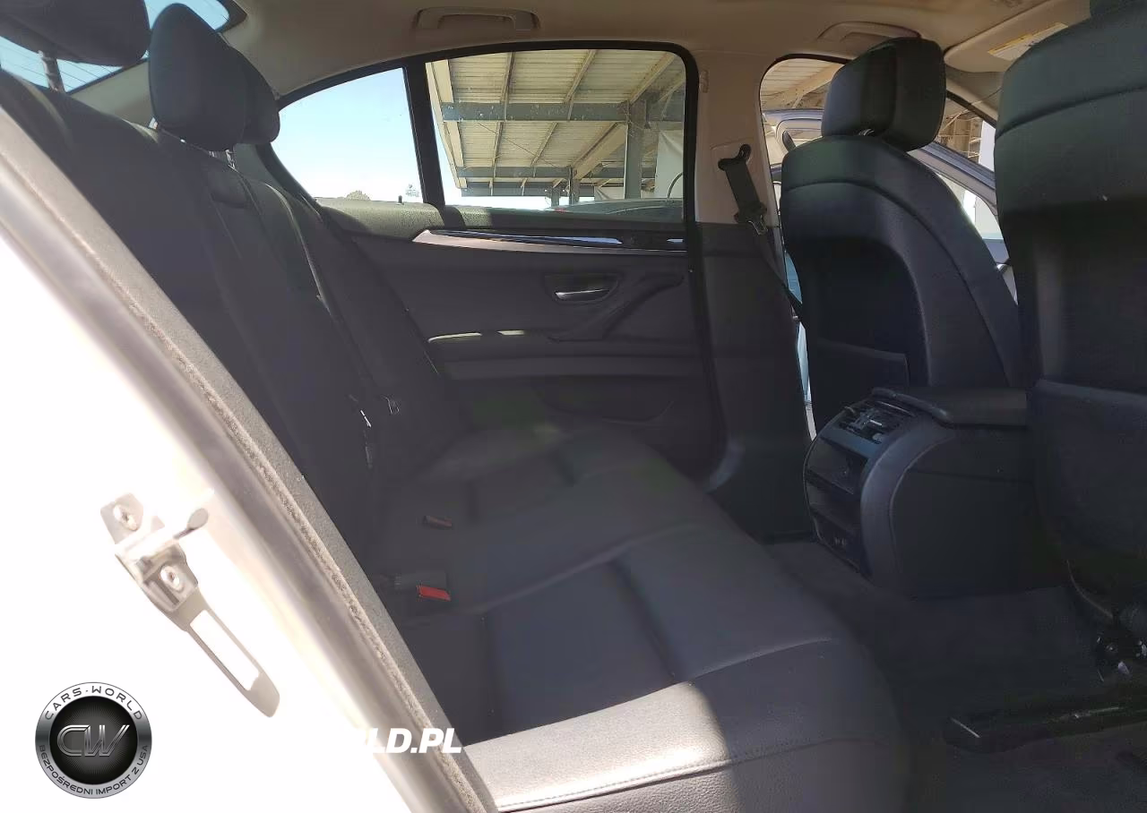2013 BMW 528I VIN:WBAXG5C52DD230181 - 10