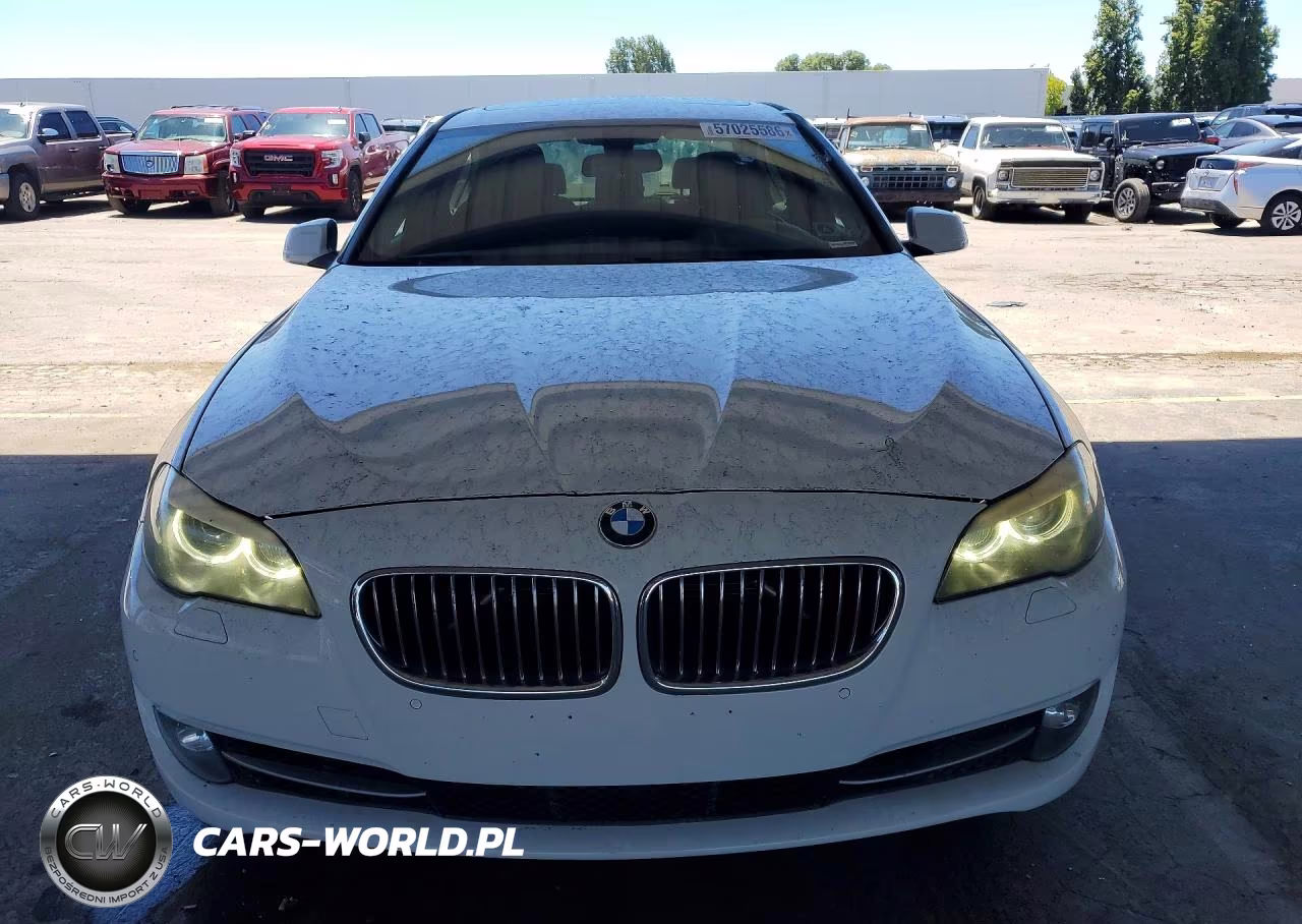 2013 BMW 528I VIN:WBAXG5C52DD230181 - 5