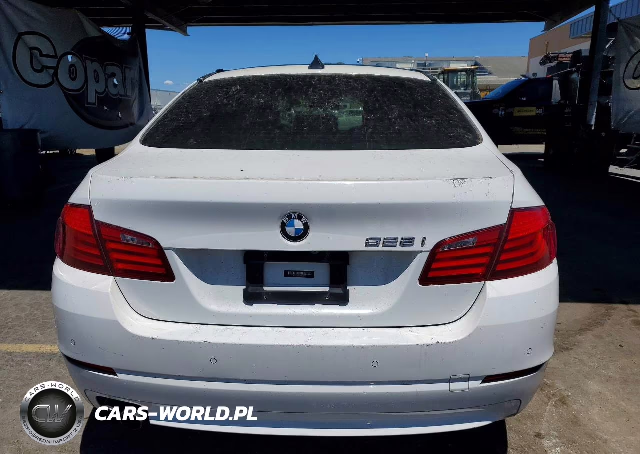 2013 BMW 528I VIN:WBAXG5C52DD230181 - 6