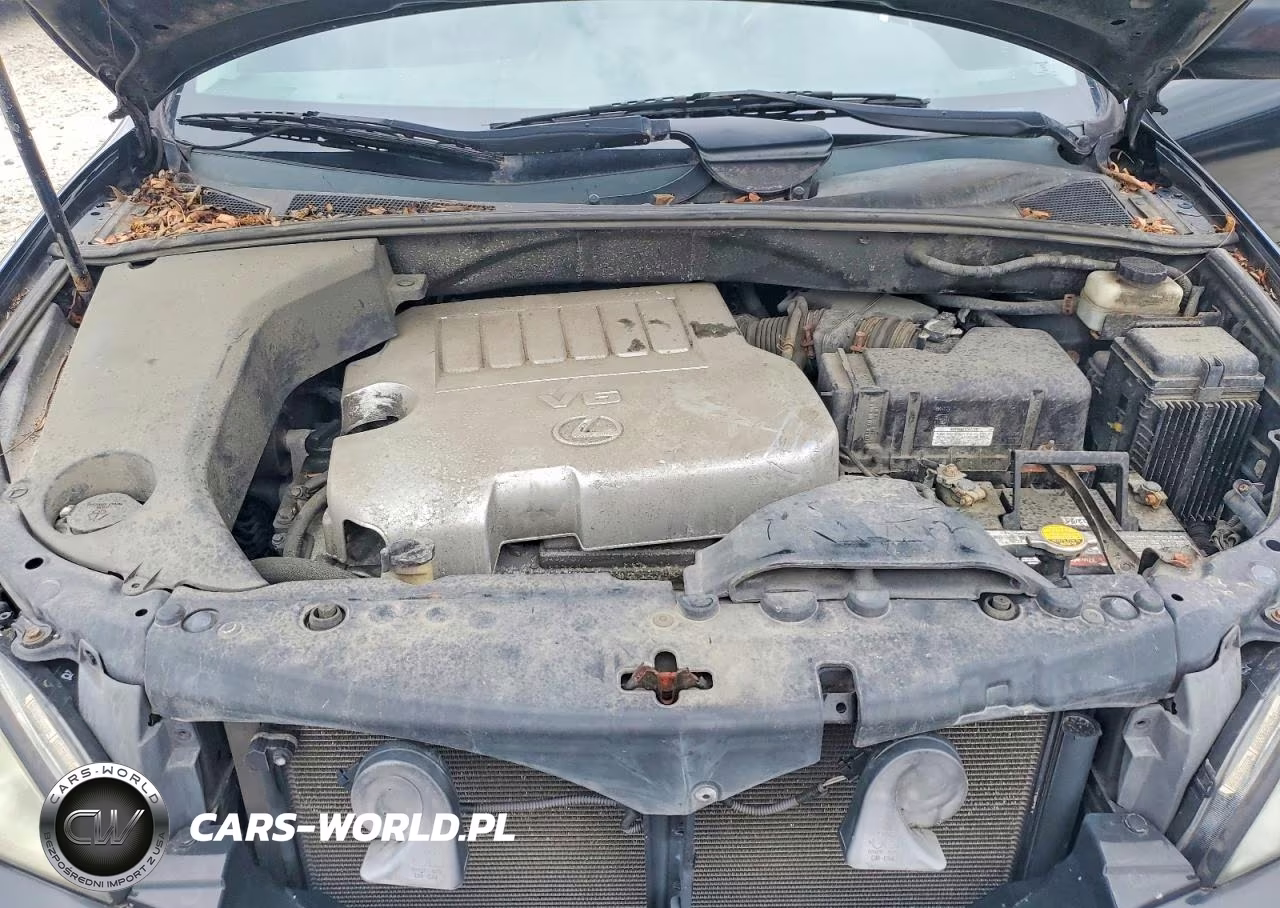 2009 Lexus Rx 350 VIN:2T2HK31U99C102850 - 12