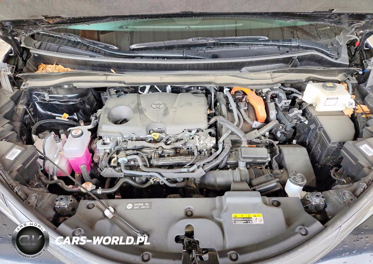2025 Toyota Sienna Woodland Edition VIN:5TDCSKFC0SS214605 - 12