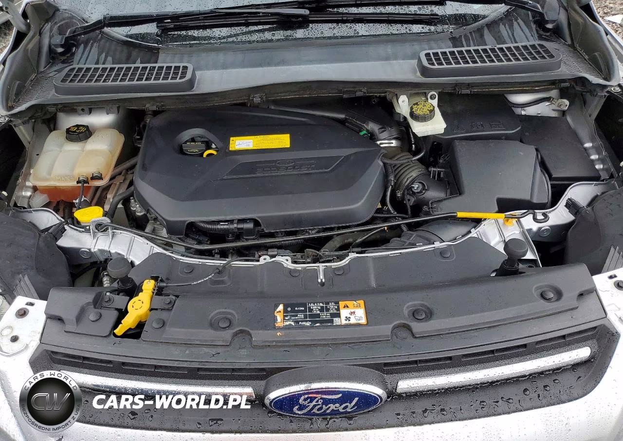 2016 Ford Escape Se VIN:1FMCU0GXXGUB11304 - 12