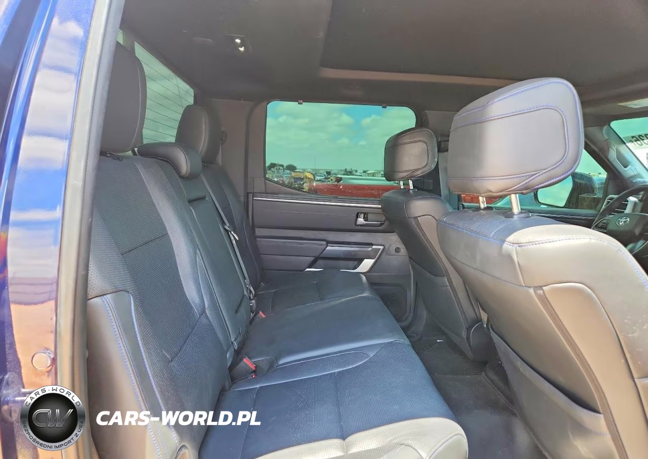 2023 Toyota Tundra Platinum VIN:5TFNA5DBXPX117274 - 10
