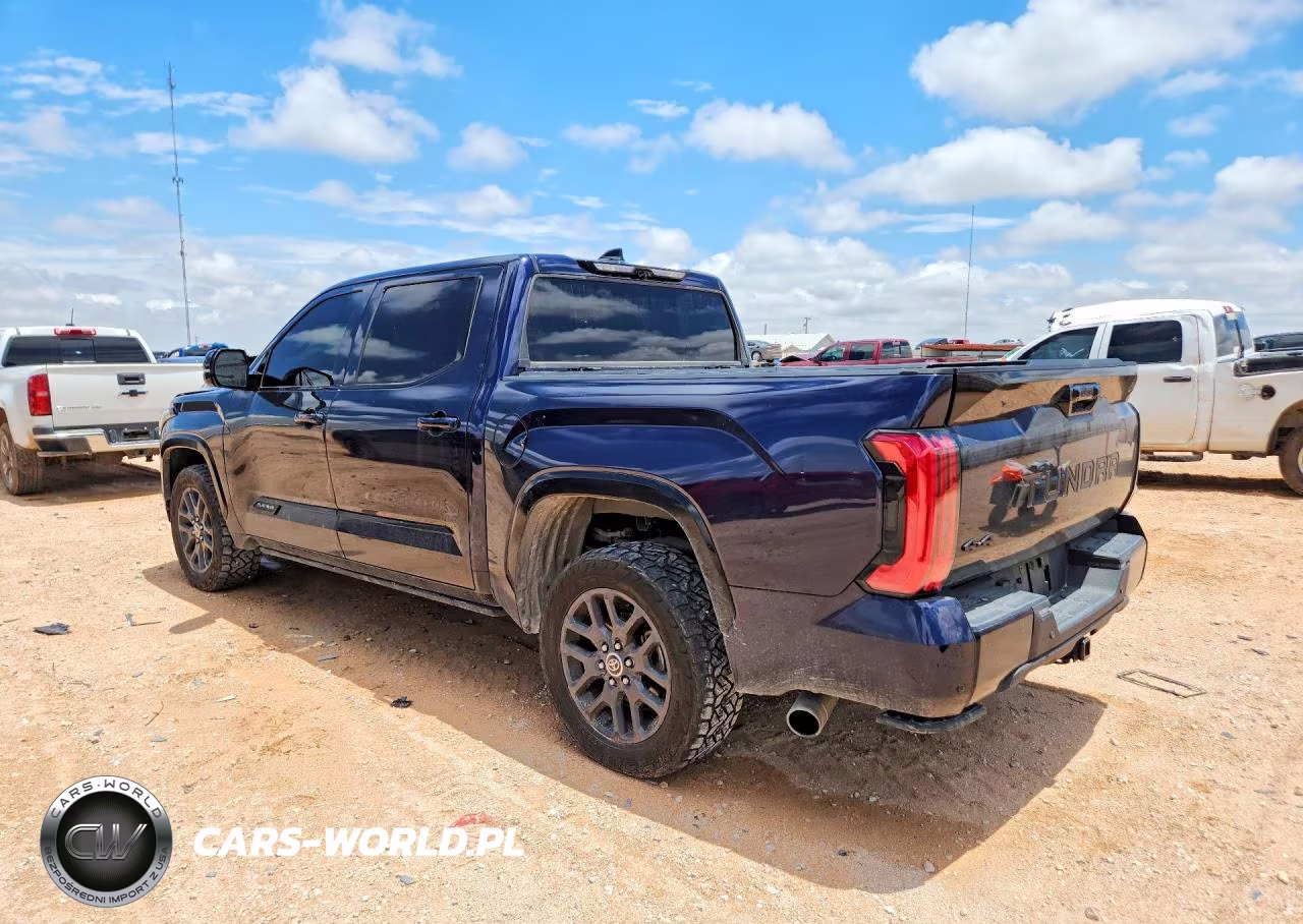 2023 Toyota Tundra Platinum VIN:5TFNA5DBXPX117274 - 2