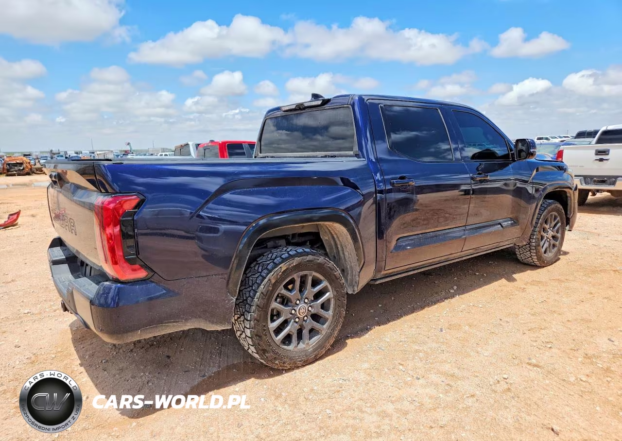 2023 Toyota Tundra Platinum VIN:5TFNA5DBXPX117274 - 3
