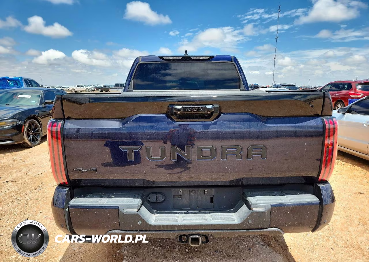 2023 Toyota Tundra Platinum VIN:5TFNA5DBXPX117274 - 6