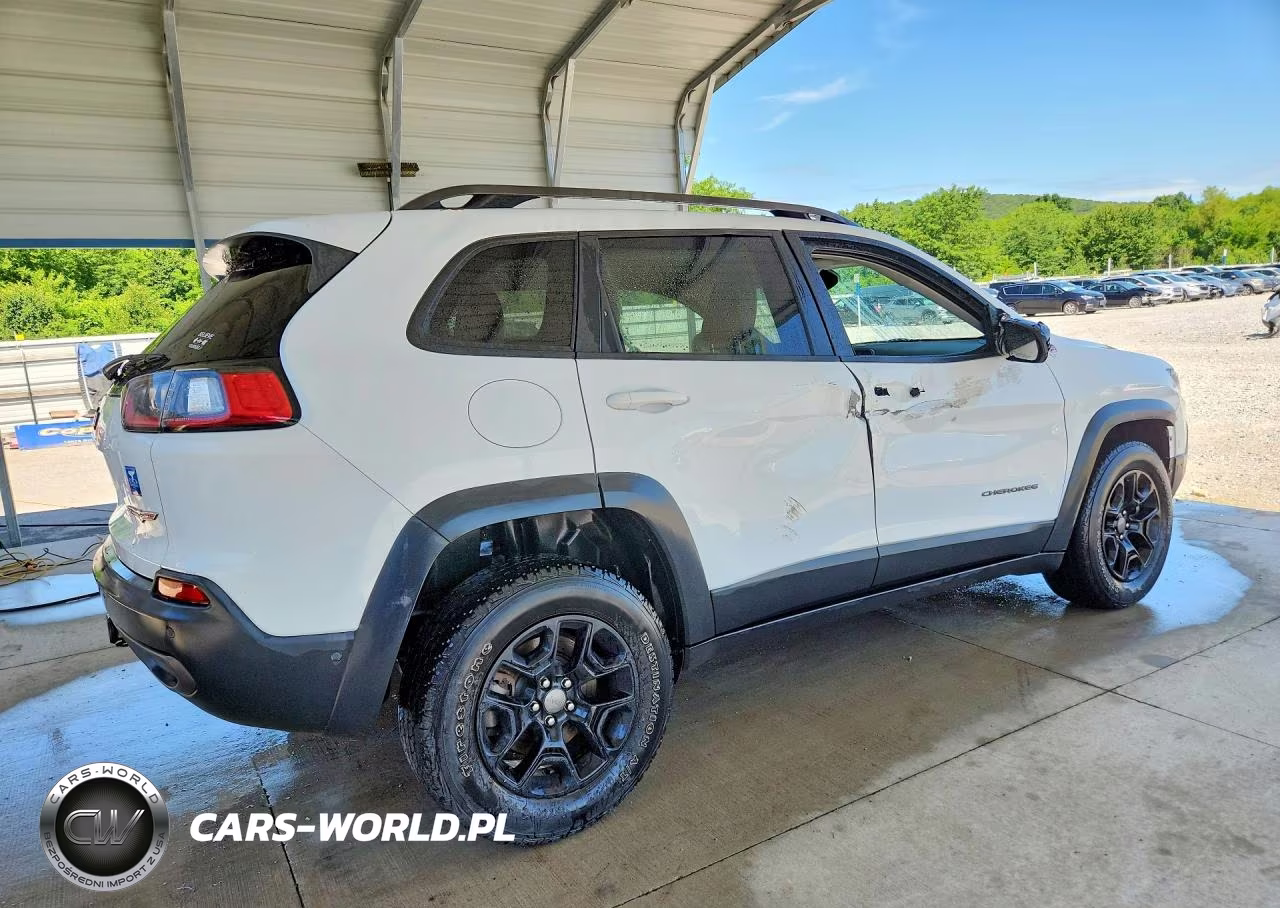 2019 Jeep Cherokee Trailhawk VIN:1C4PJMBX9KD279795 - 3