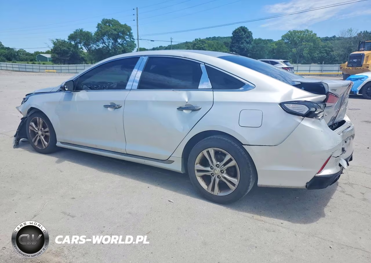 2018 Hyundai Sonata Sport VIN:5NPE34AF2JH641145 - 2
