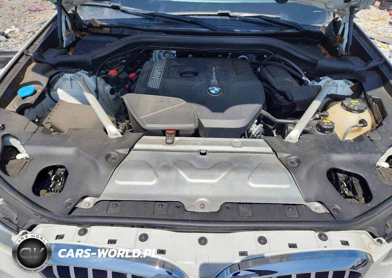 2019 BMW X3 Sdrive30I VIN:5UXTR7C52KLR45647 - 12