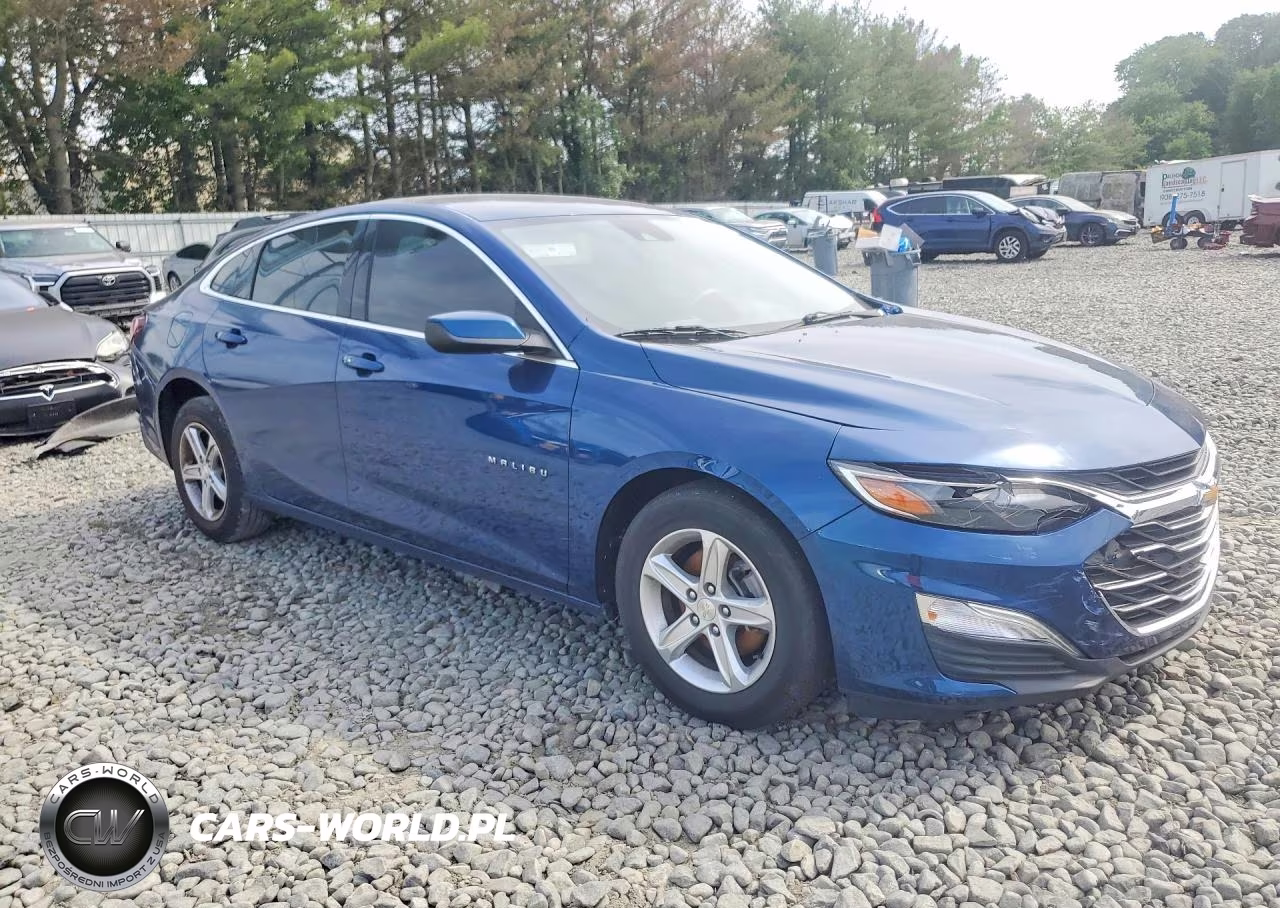 2019 Chevrolet Malibu Ls VIN:1G1ZC5ST1KF135676 - 4