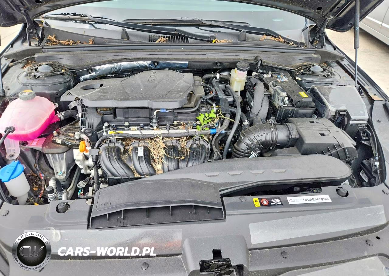 2026 Kia K5 Lxs VIN:KNAG24J75T5410888 - 11