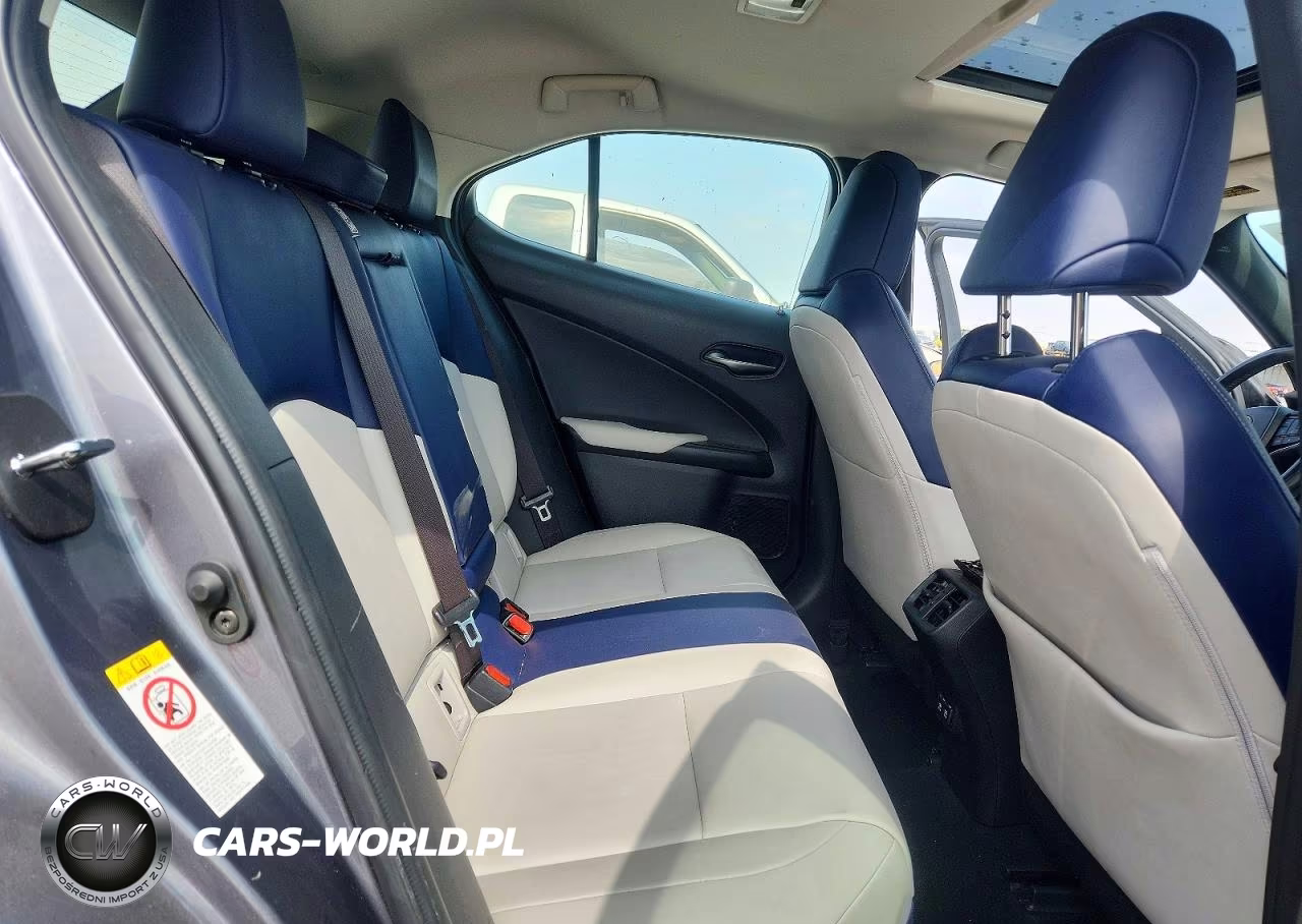 2019 Lexus Ux 200 VIN:JTHY3JBH9K2002192 - 10