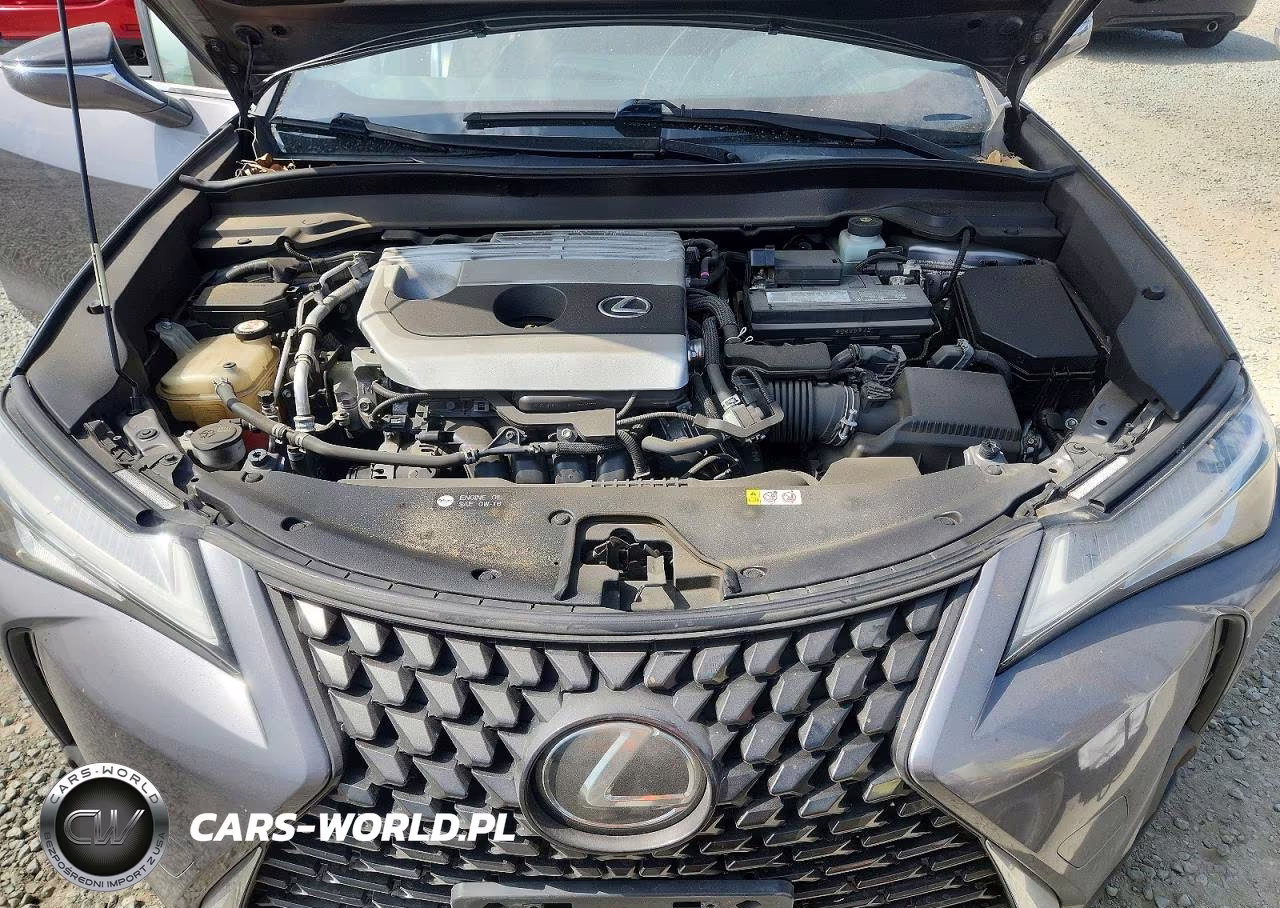 2019 Lexus Ux 200 VIN:JTHY3JBH9K2002192 - 11