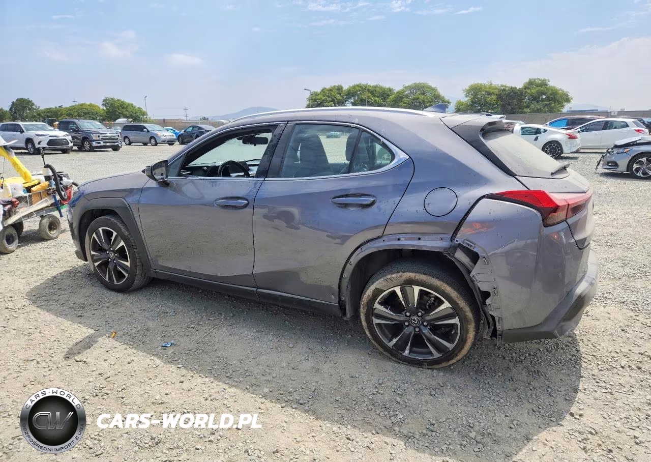 2019 Lexus Ux 200 VIN:JTHY3JBH9K2002192 - 2