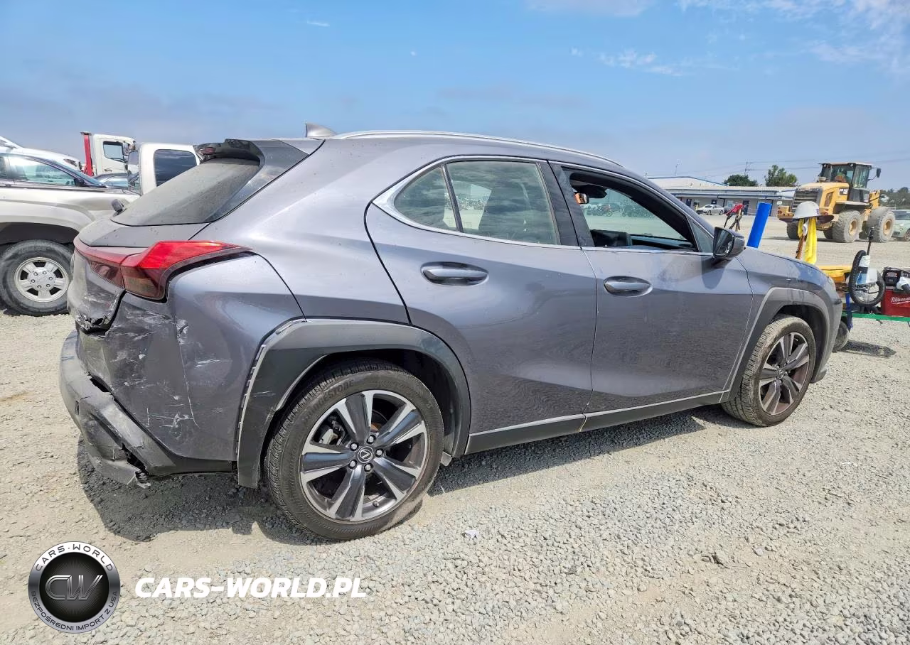 2019 Lexus Ux 200 VIN:JTHY3JBH9K2002192 - 3
