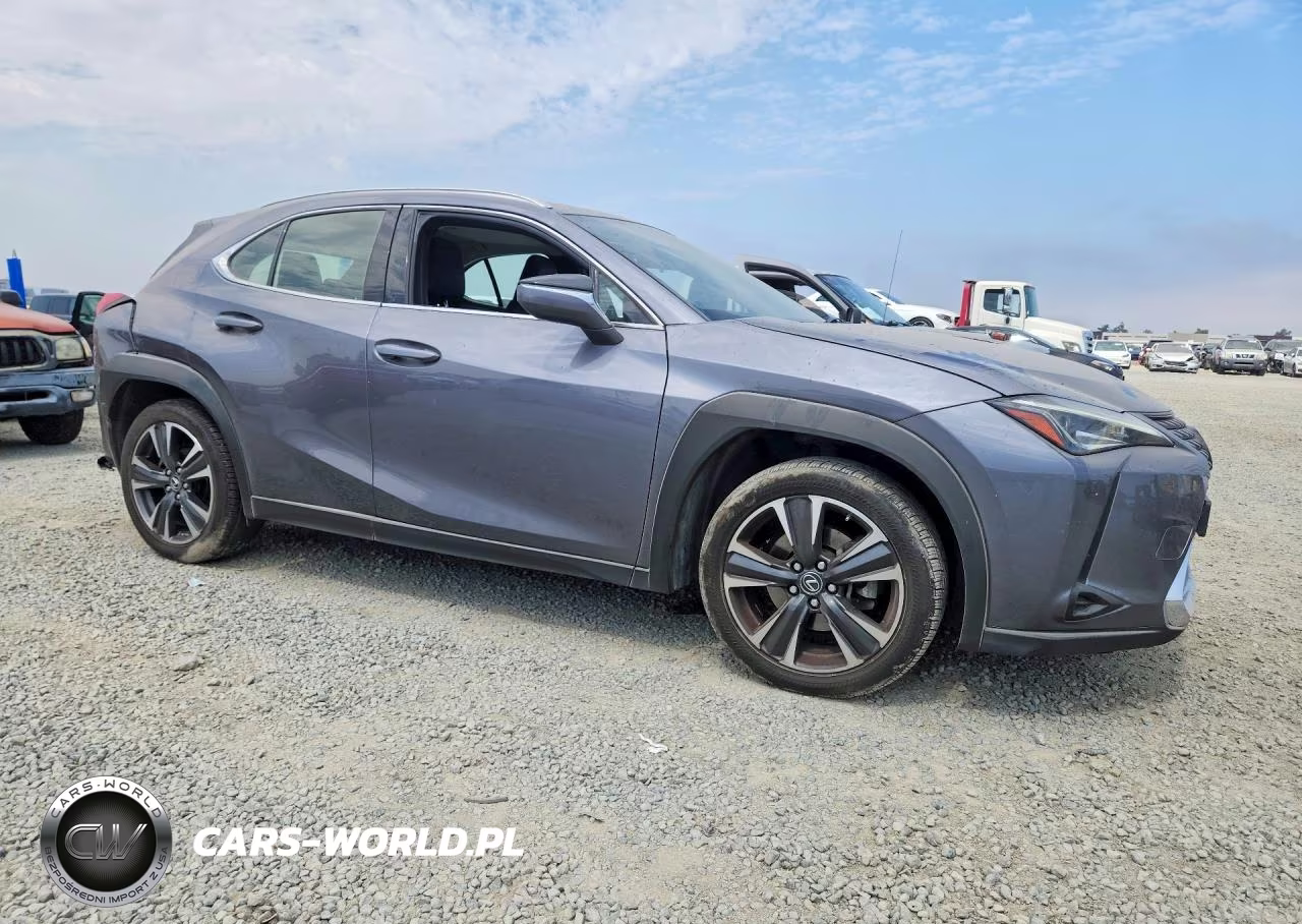 2019 Lexus Ux 200 VIN:JTHY3JBH9K2002192 - 4