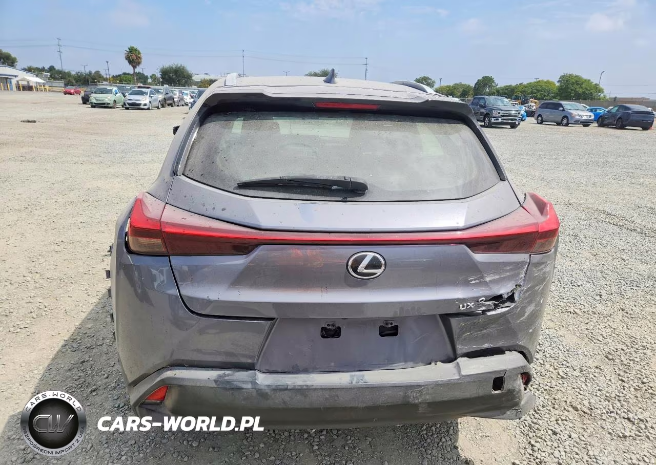 2019 Lexus Ux 200 VIN:JTHY3JBH9K2002192 - 6