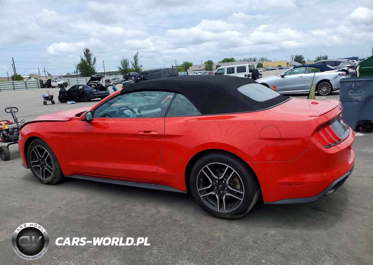 2019 Ford Mustang VIN:1FATP8UHXK5181742 - 2