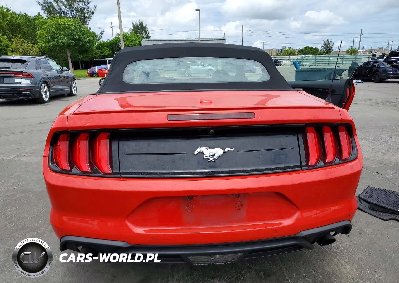 2019 Ford Mustang VIN:1FATP8UHXK5181742 - 6
