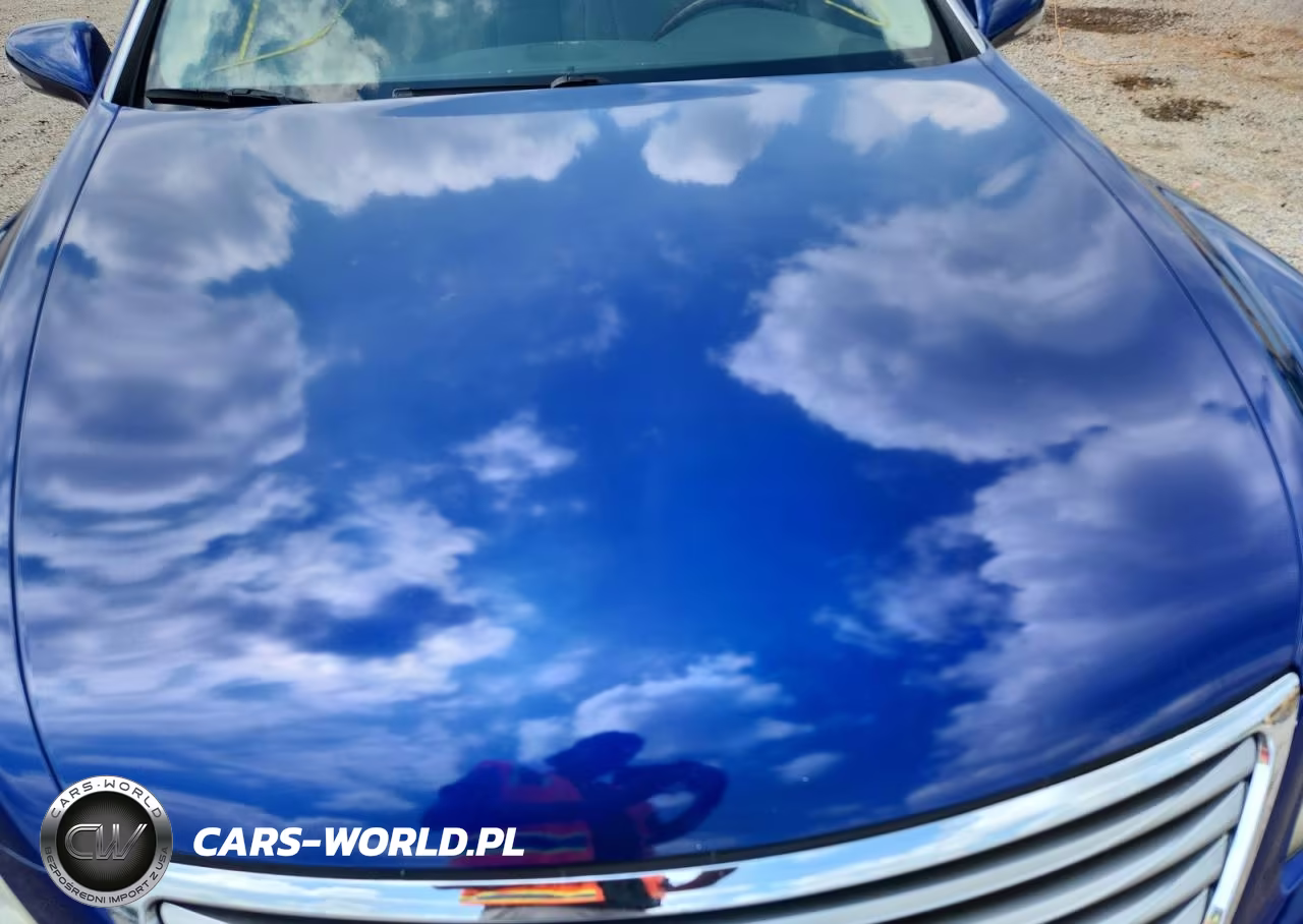 2010 Lexus Ls 460 VIN:JTHBL5EF9A5096093 - 11