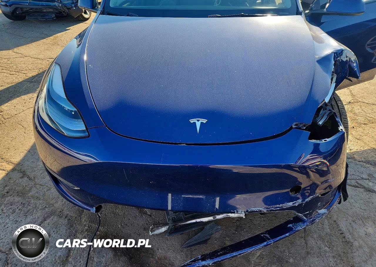 2023 Tesla Model Y VIN:7SAYGAEE3PF789056 - 11