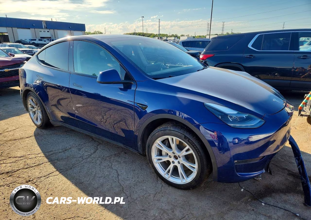 2023 Tesla Model Y VIN:7SAYGAEE3PF789056 - 4