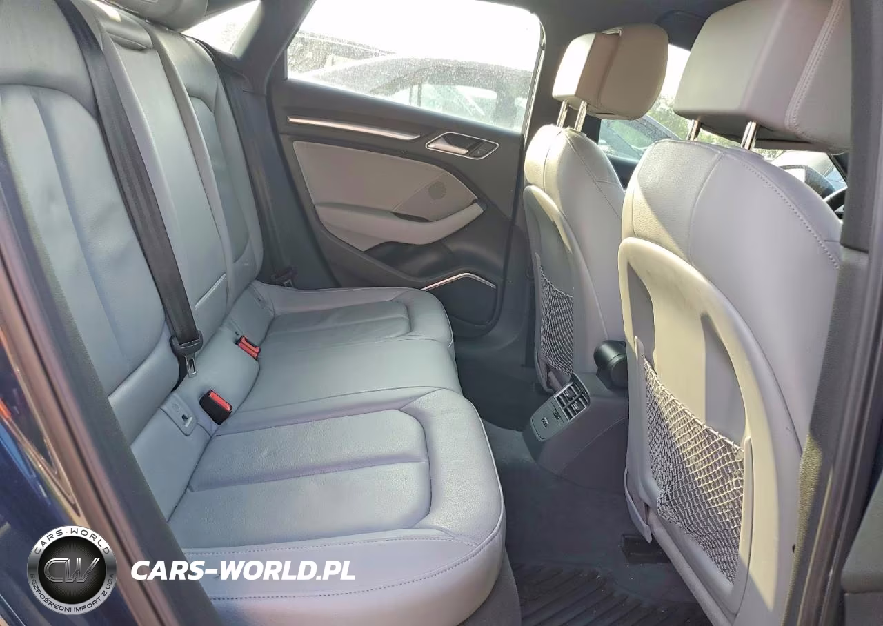 2020 Audi A3 Premium Plus VIN:WAUCUGFF6LA017421 - 10