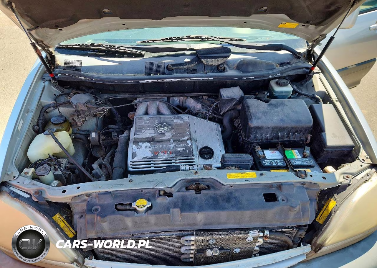 2001 Lexus Rx 300 VIN:JTJHF10U810190512 - 11