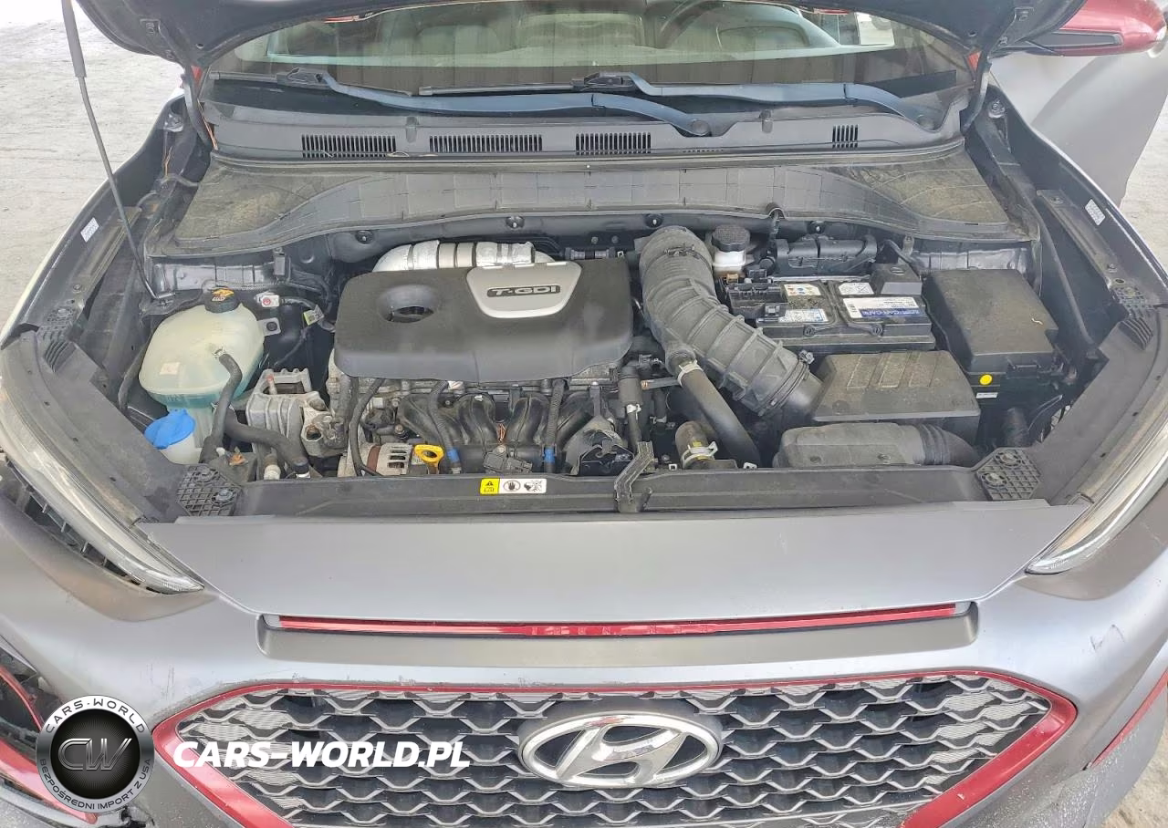 2019 Hyundai Kona Ultimate VIN:KM8K53A58KU309745 - 11