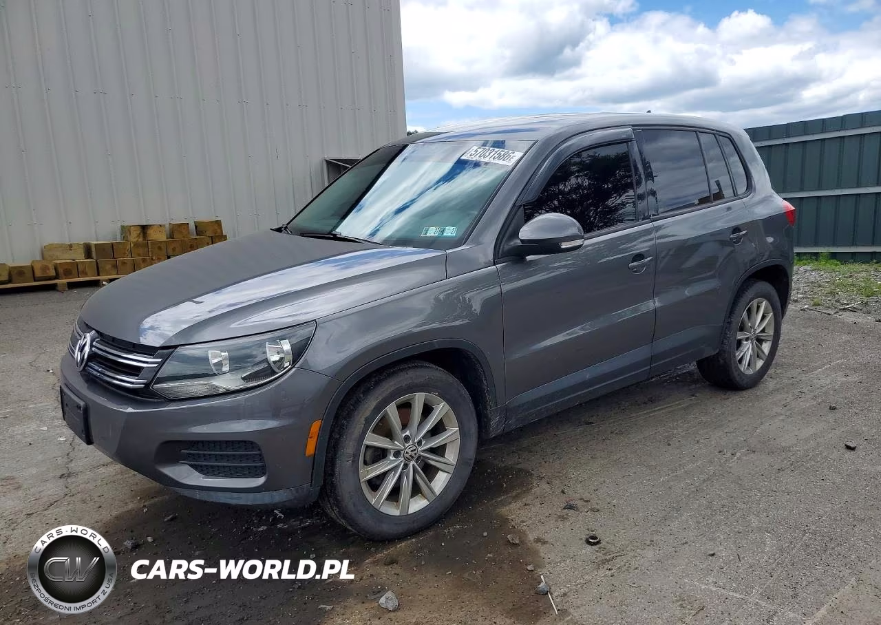 2014 Volkswagen Tiguan S