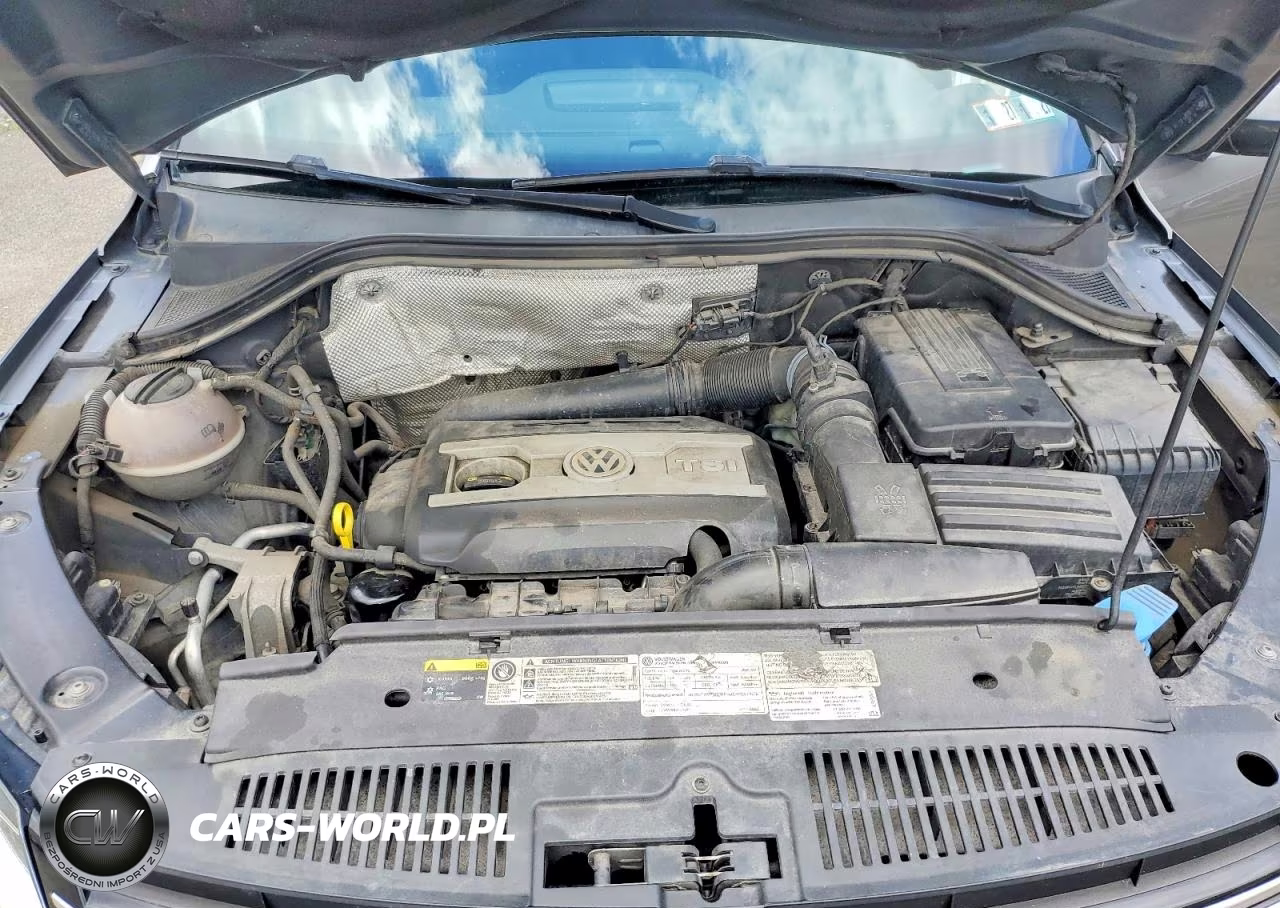 2014 Volkswagen Tiguan S VIN:WVGBV3AX3EW549568 - 12