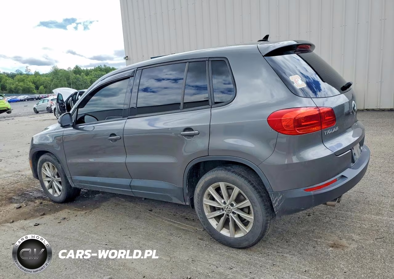 2014 Volkswagen Tiguan S VIN:WVGBV3AX3EW549568 - 2
