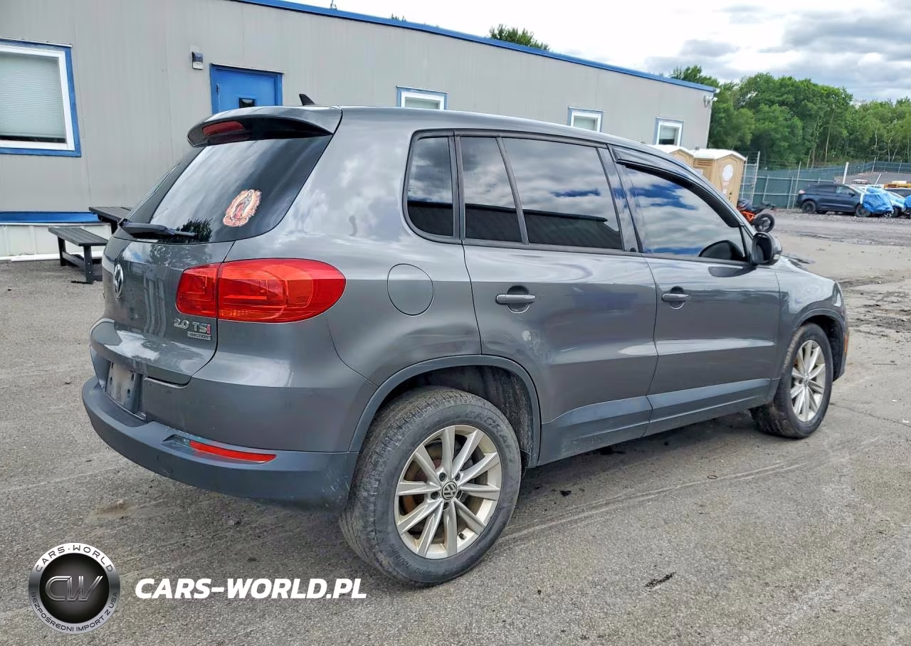2014 Volkswagen Tiguan S VIN:WVGBV3AX3EW549568 - 3