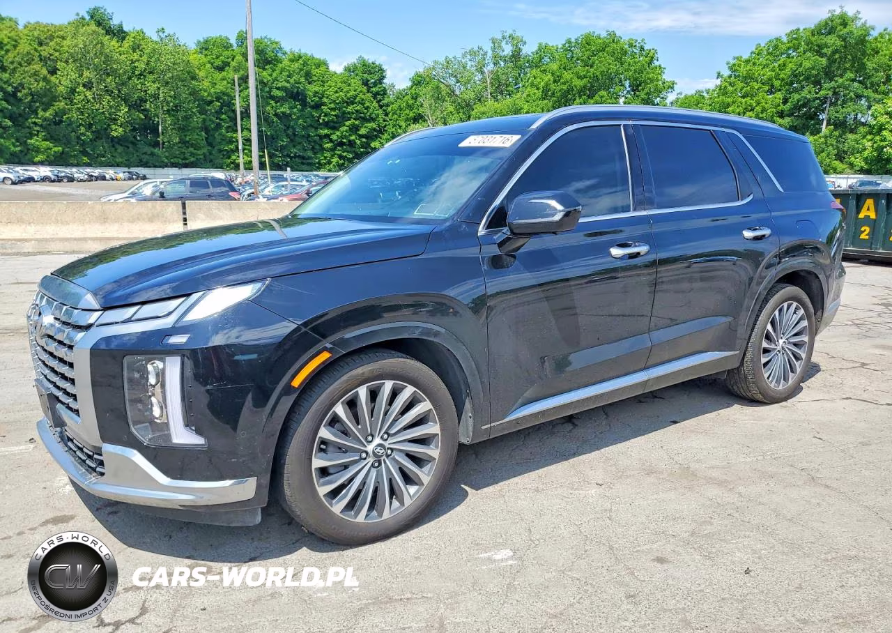 2025 Hyundai Palisade Calligraphy – zdjęcie 1 z 13