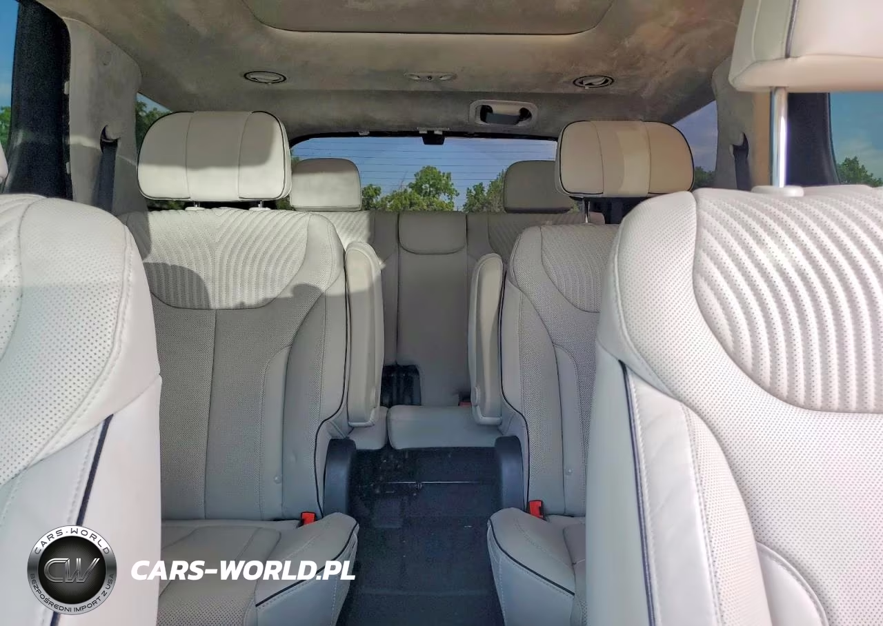 2025 Hyundai Palisade Calligraphy VIN:KM8R7DGE8SU950884 - 10